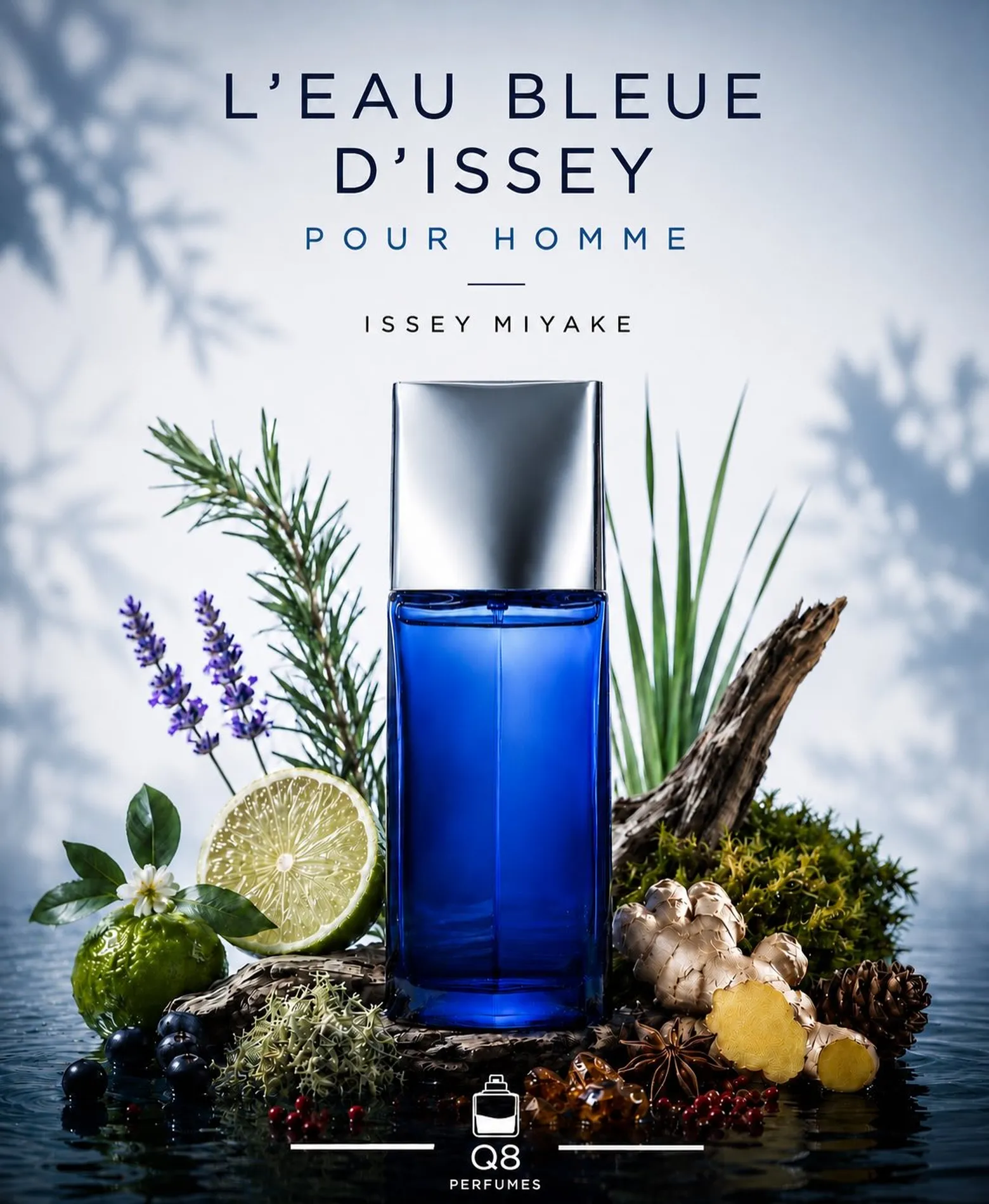 q8perfumes__1779610054_3903974430282479872_68734134558